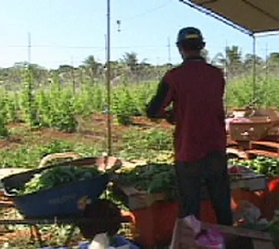 EPA holding pesticide training