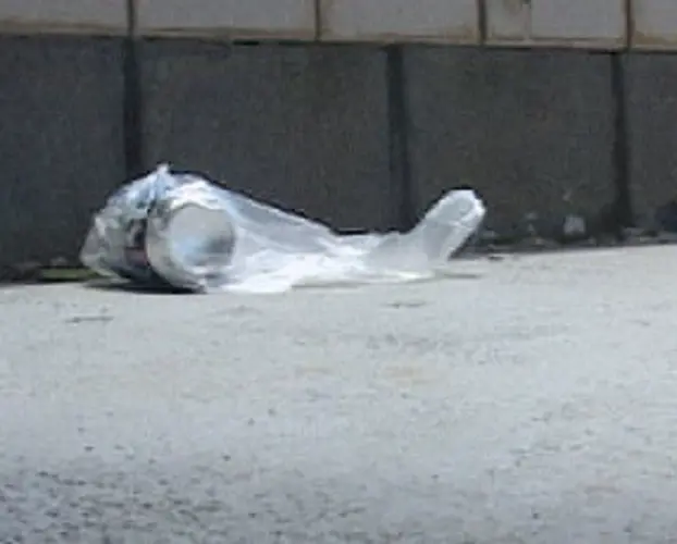 Plastic bags pose danger