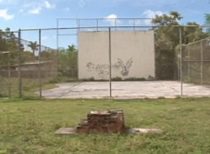 Island Girl Power steps-up to clean-up public parks