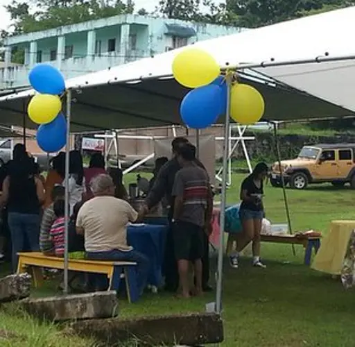 Central islanders head to the polls