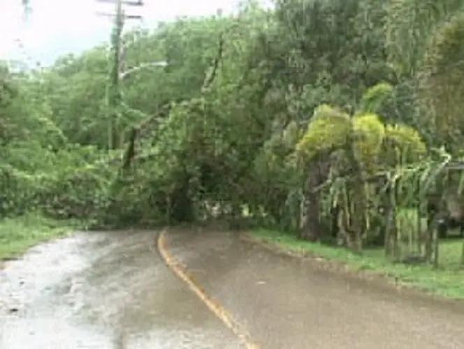 Island leaders assess fringe damages from typhoon