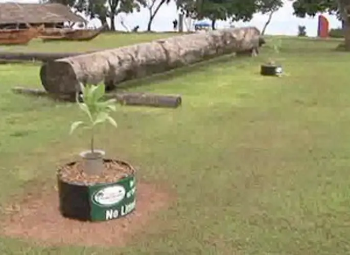 Arbor Day trees planted in Tumon