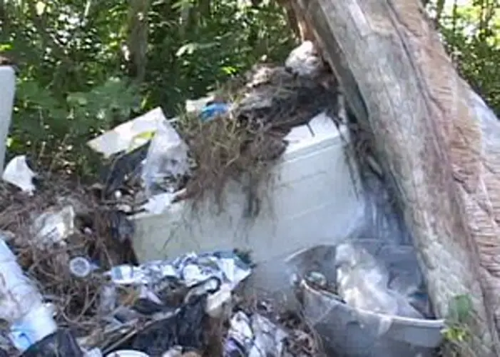 Dispose properly, Guam!
