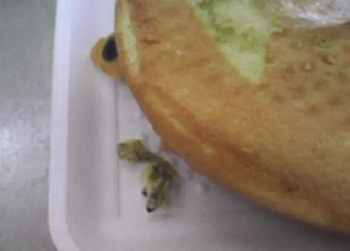 Lizard reportedly discovered in packaged spongecake