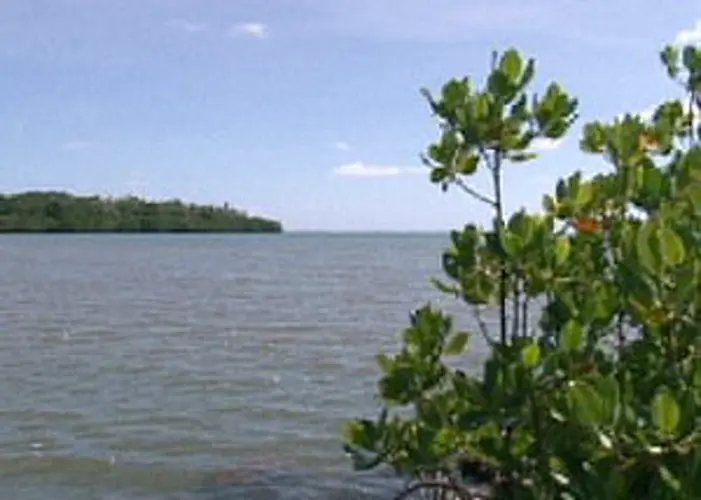 Fisherman drowns in Achang Bay