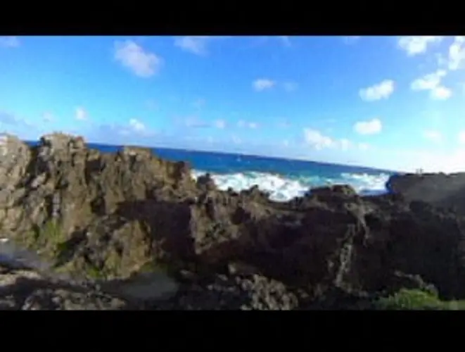 Search ongoing for distressed swimmer