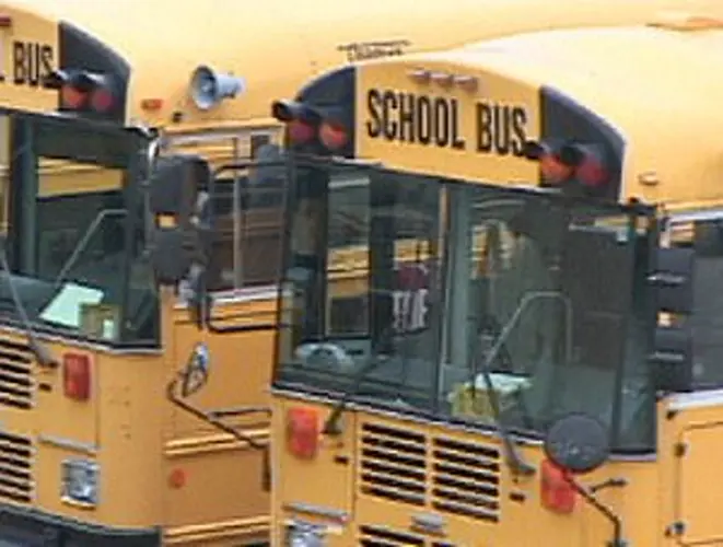 School bus driver tests positive for TB, prompting mass screening