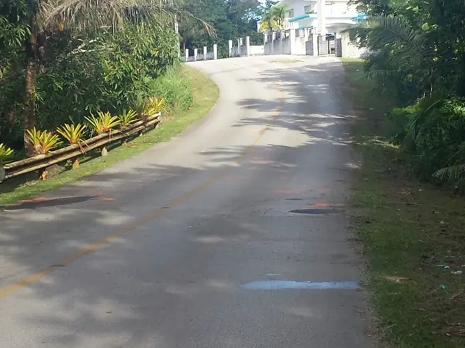 Motorcyclist killed after colliding with wild pig