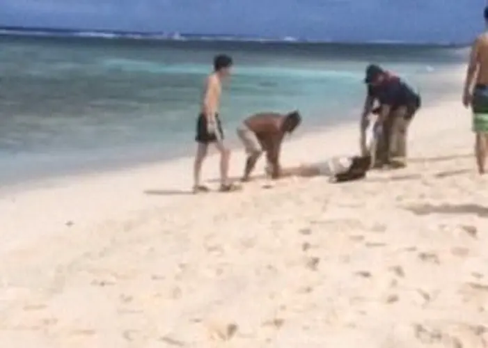 Three people die from weekend ocean incidents