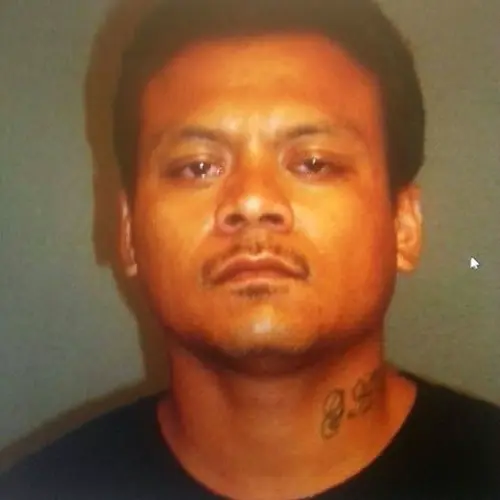 Tamuning purse-snatcher arrested