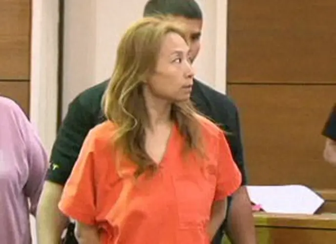 What happens when a defendant pleads insanity?
