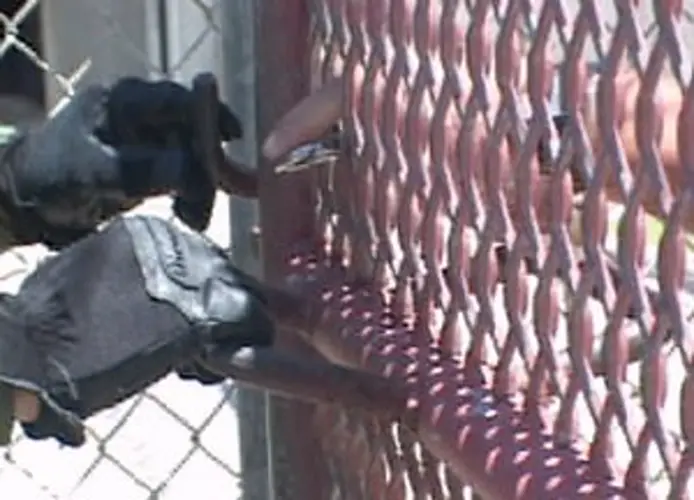 Corrections officer under investigation for promoting prison contraband