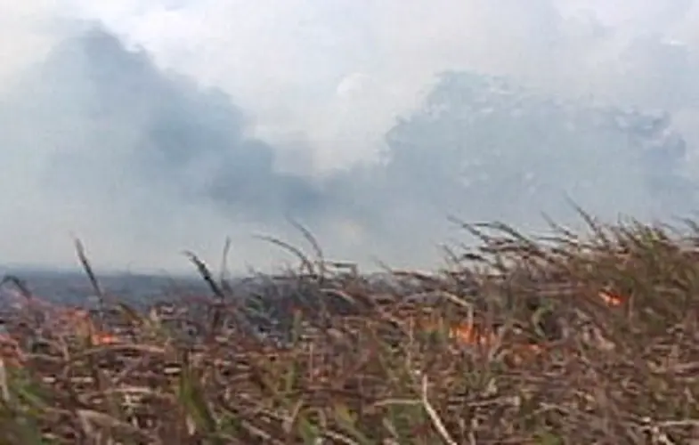 March is start of dry season