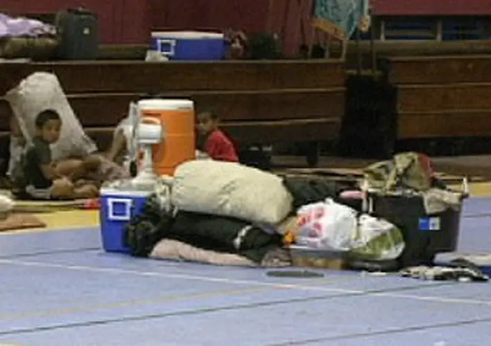 Government working to help shelterees