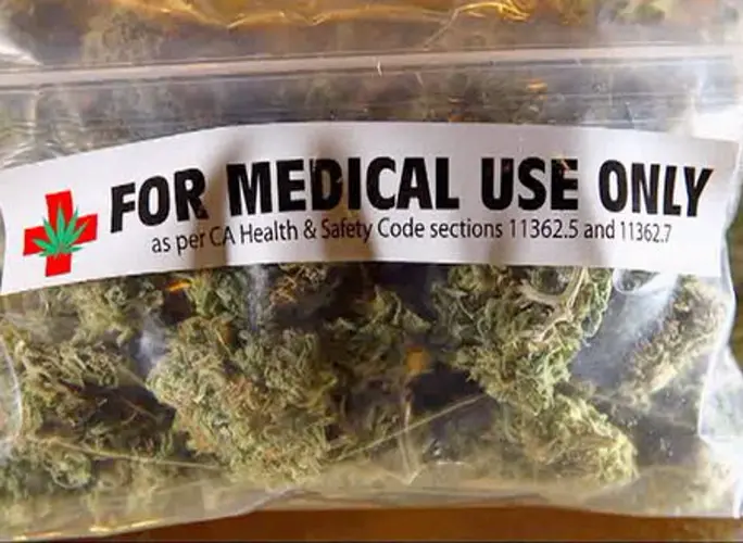 Officials learn about medicinal marijuana from the States