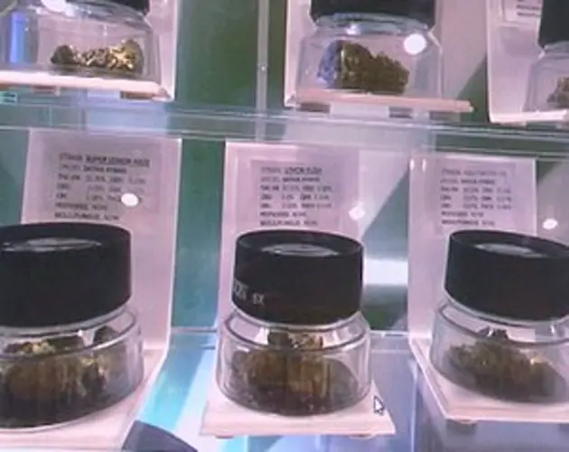 Public Health gains knowledge about mainland cannabis control