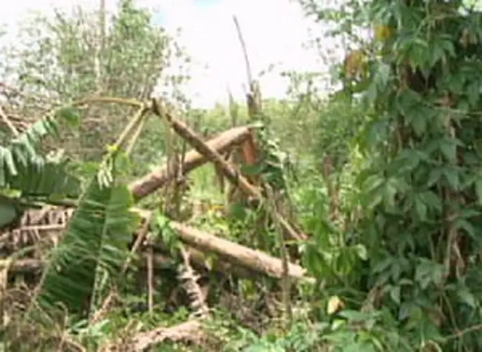 Guam still recovering from Typhoon Dolphin