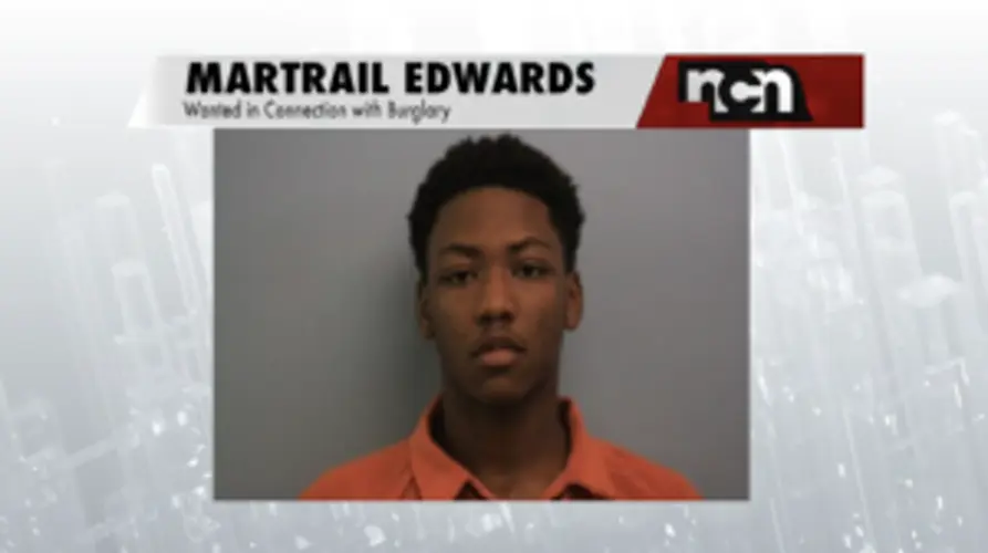 Suspect Sought In Norfolk Burglary