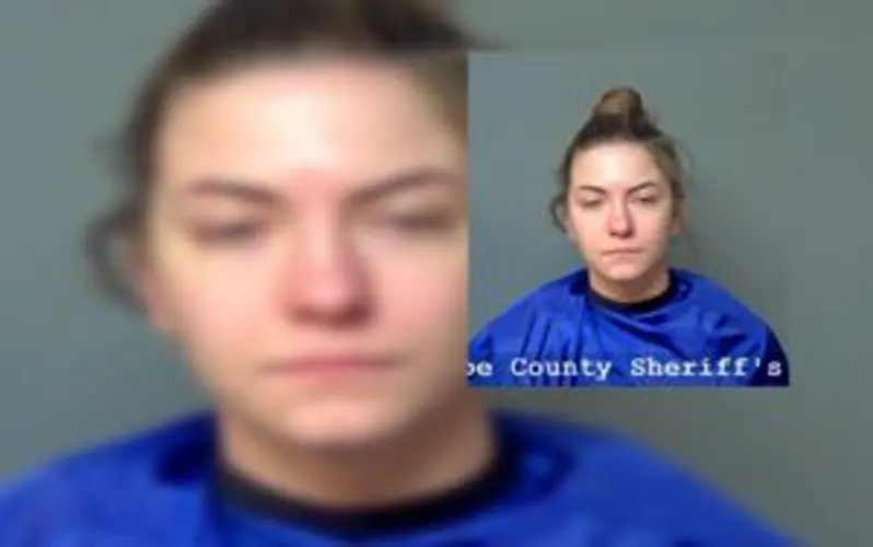 Woman Charged With Arson, Stealing Ex-Girlfriend's PitBull
