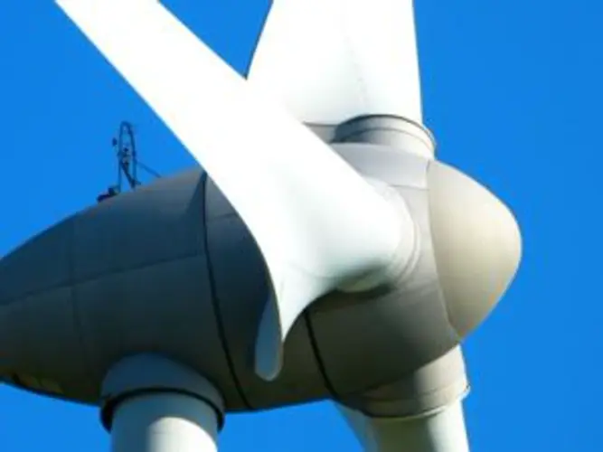 Iowa Sen. Grassley: President Trump's wind turbine comments were 'idiotic'