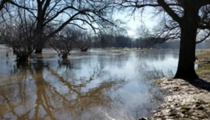 Officials Say Command System Worked, During Flooding