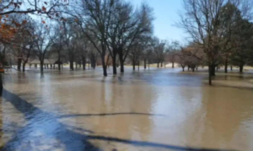 More Than Enough Water, For Beatrice