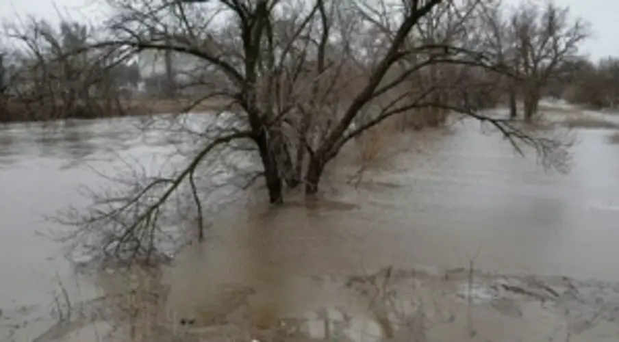 FLOOD UPDATE: West Court, in Beatrice