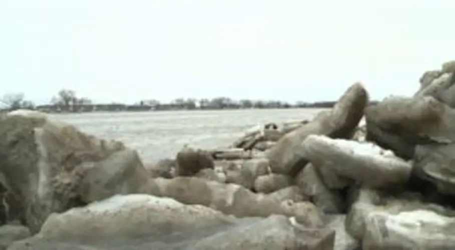 Family of 10 rescued from rural Norfolk home