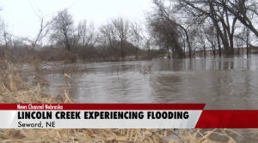 Lincoln Creek Floods Near Seward