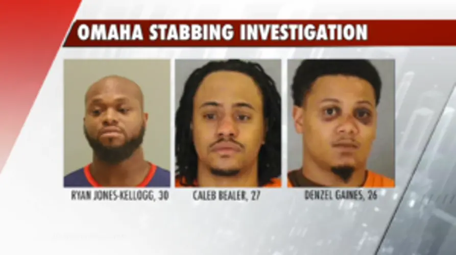 Three arrested in metro stabbing homicide