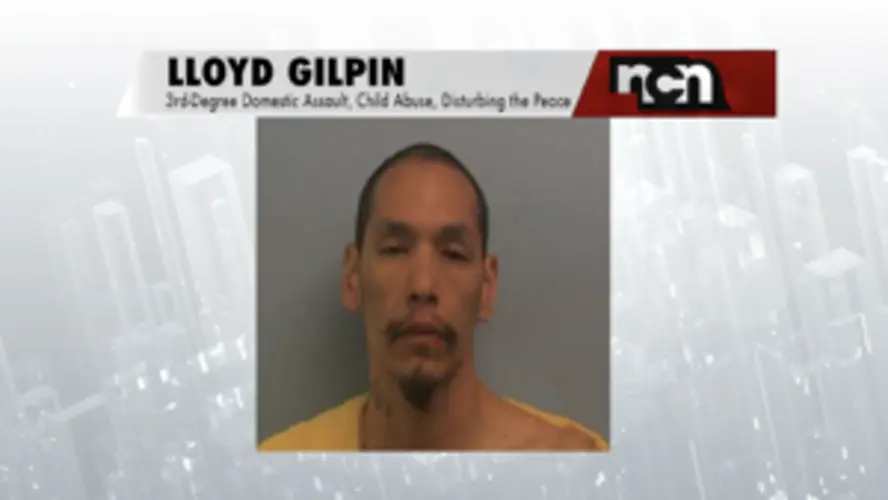 Norfolk Man Arrested For Domestic Assault, Child Abuse