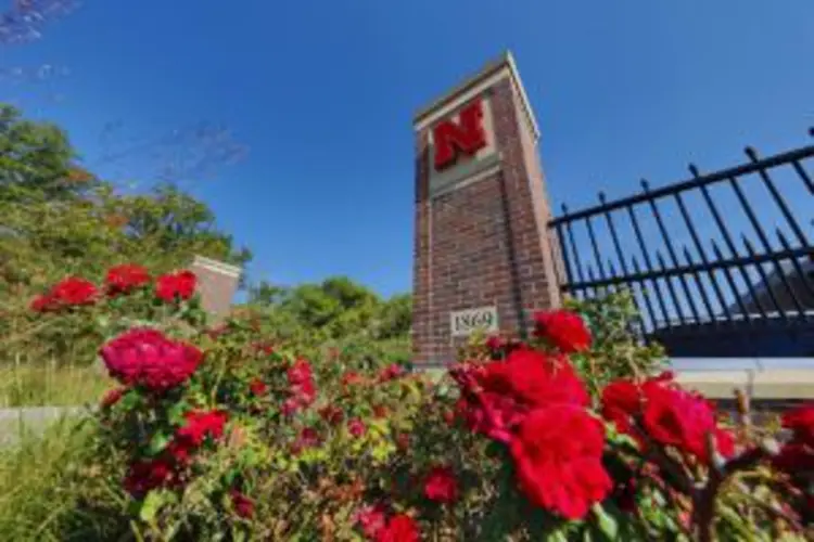 US universities see decline in students from China