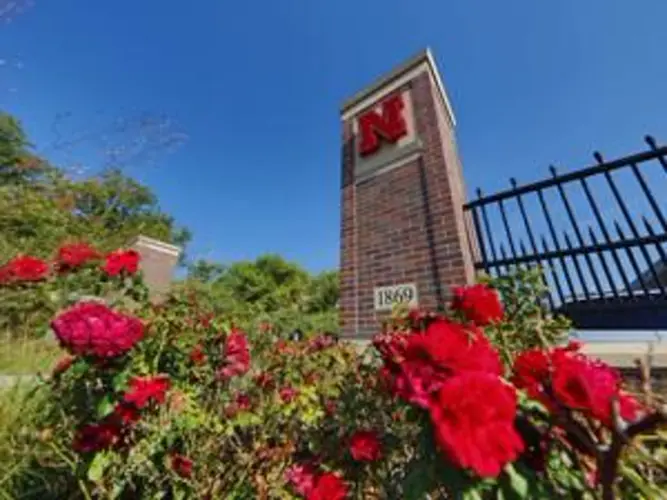 NU seeks nominations for presidential search advisory committee