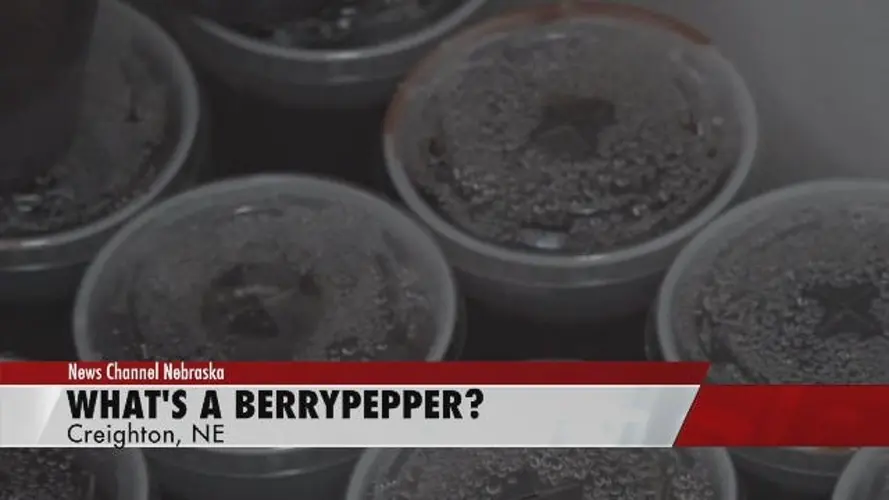 What's a BerryPepper?