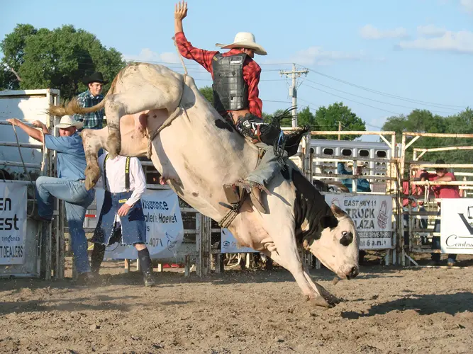 JULY 25TH (7 PM) - 2019 Wayne County Fair Bull Riding (NCN TV)