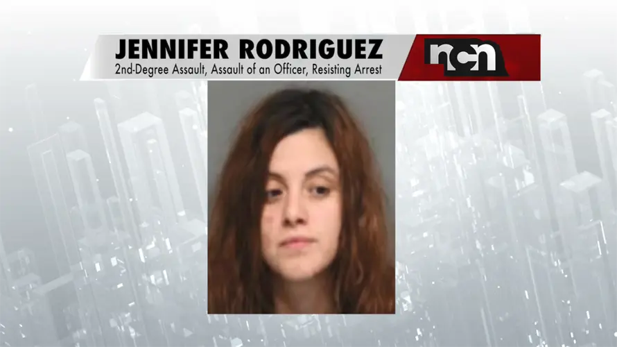 Deputy uses Taser on woman during altercation