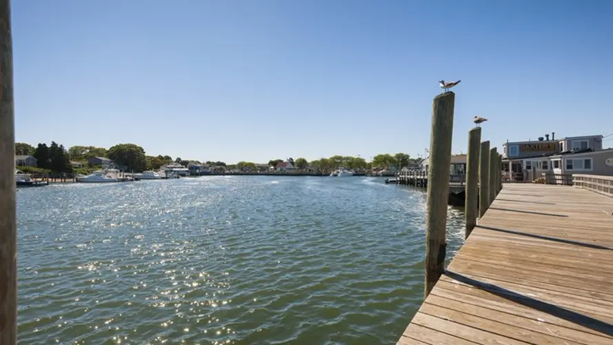 Granddaughter of Robert F. Kennedy, found dead at Kennedy Compound in Hyannis Port, sources say