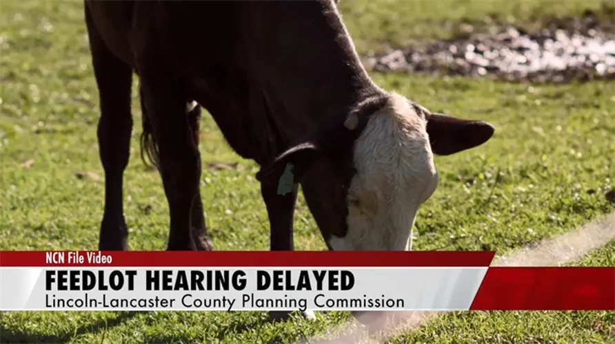Public hearing on feedlot special permit delayed
