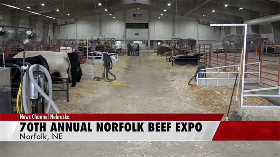 70th annual Beef Expo this weekend in Norfolk