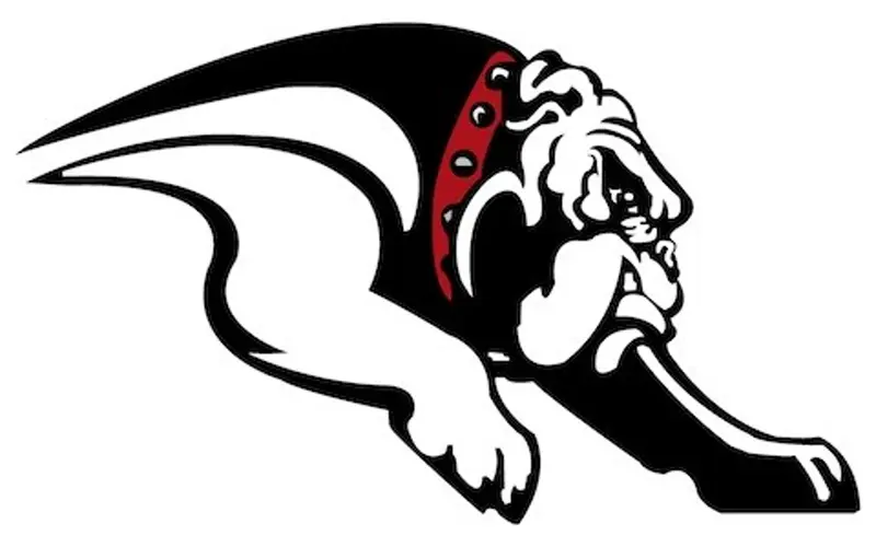 Auburn, Conestoga receiving votes in Class C cross country rankings