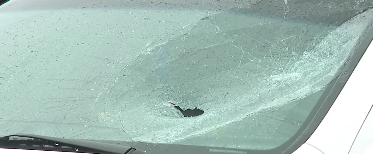 Schuyler police asking for help in stopping recent vandalism spree