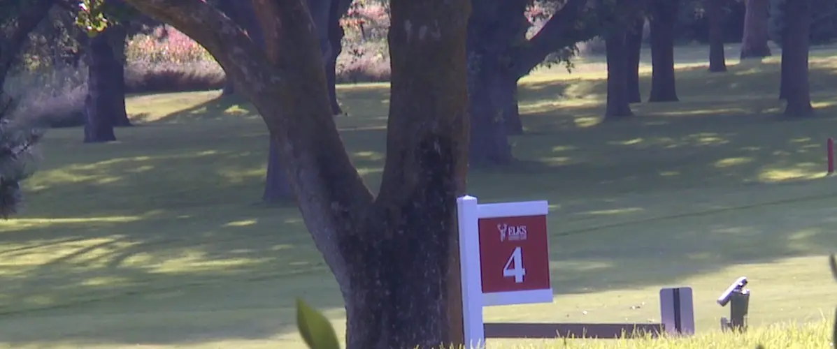 NPPD says golf tournament raised record funds this year