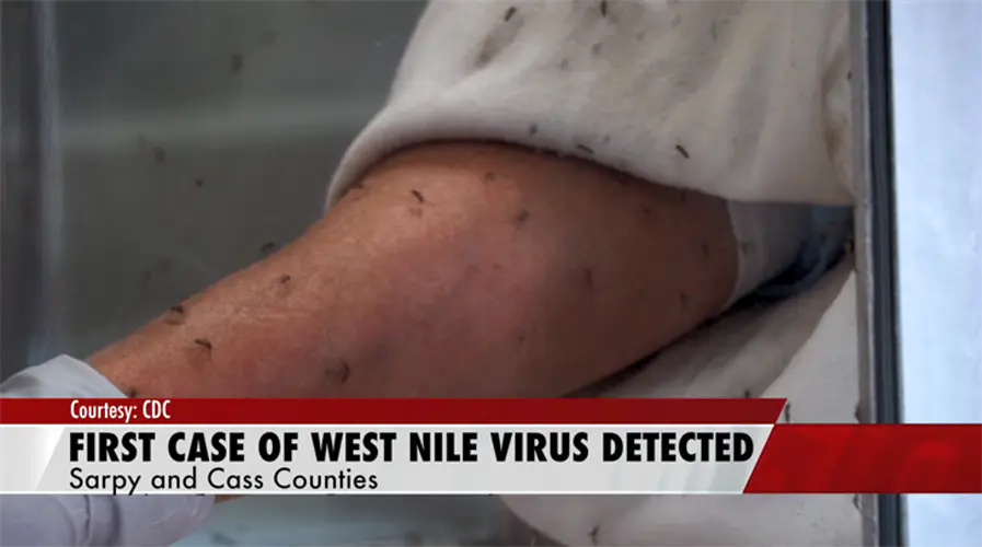 Sarpy/Cass County health confirms first case of West Nile Virus