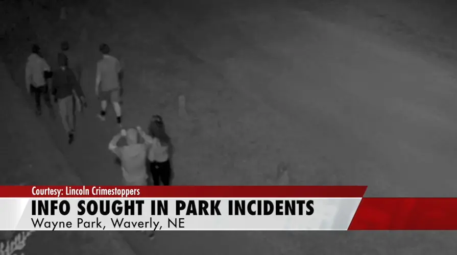 Police believe teens are behind burglaries, arson at Waverly park