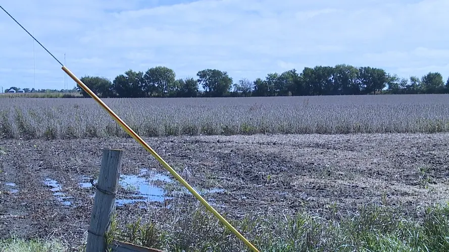 Nebraska leads in dry bean production
