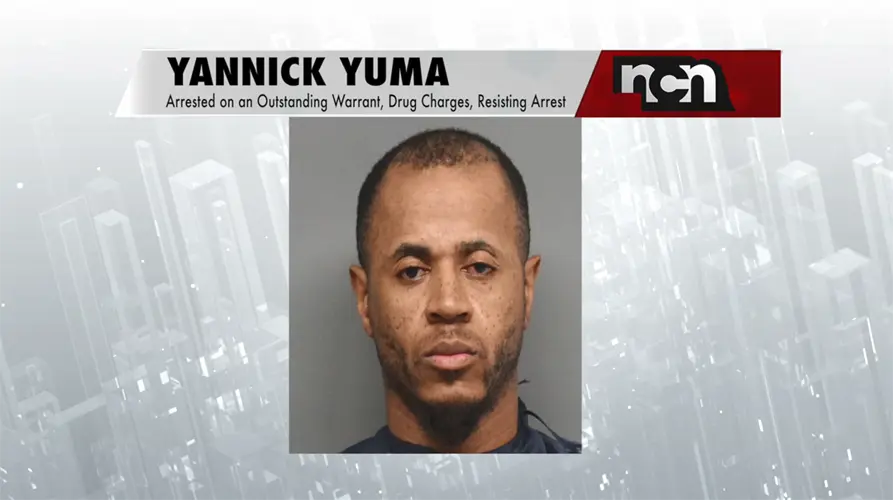 Police arrest man who ran from officers, took off clothes