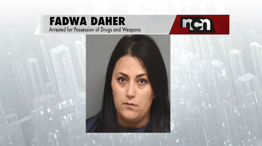 Task Force finds guns and drugs during drug bust