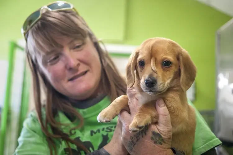 Rescue: ‘Unicorn’ puppy doesn’t notice ‘tail’ growth on head