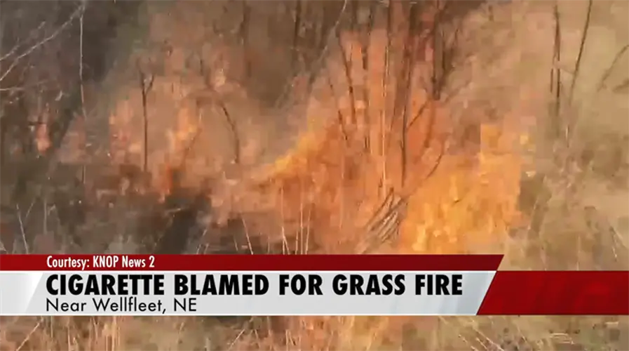 Cigarette blamed for nearly 50 acres burned near Wellfleet