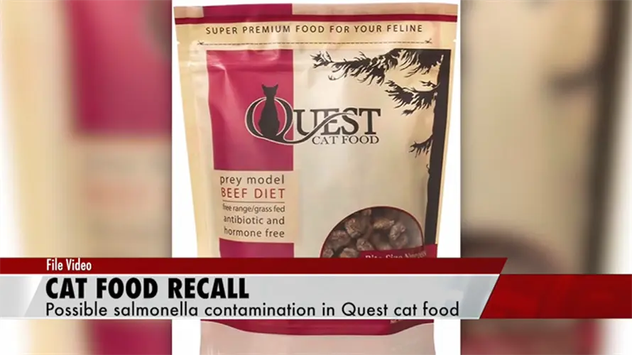 Quest Cat Food Recalled Over Salmonella Risks